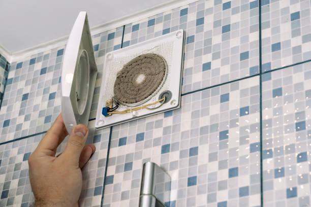 Best Air Duct Mold Removal  in Sullivan, MO