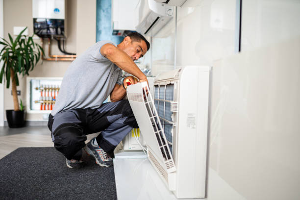 Best Air Duct Mold Removal  in Sullivan, MO